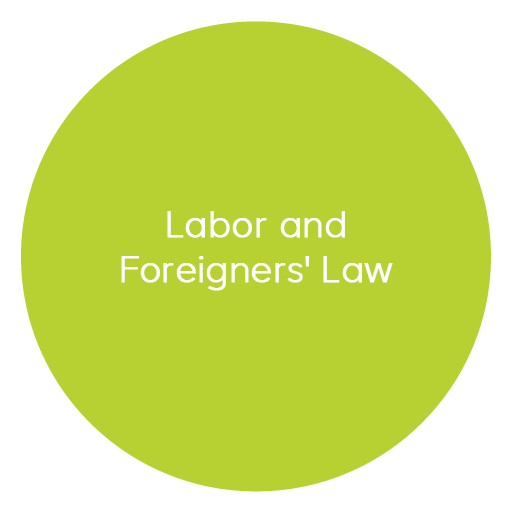 labor-and-foreigners-law